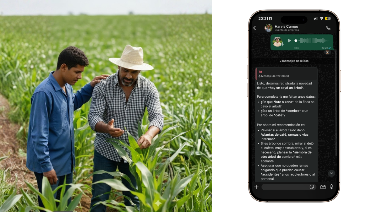 Harvis en campo dramatizando asistencia técnica, resolución de dudas y recomendaciones al productor